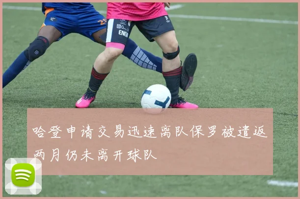 哈登申请交易迅速离队保罗被遣返两月仍未离开球队