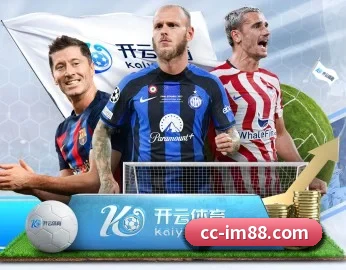 IM电竞 APP 深度功能